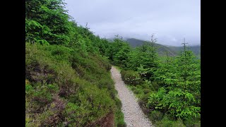 Whinlatter MTB