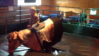 Newton on the Bull