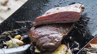 BBQ Flank steak cooked on a shovel over apple wood