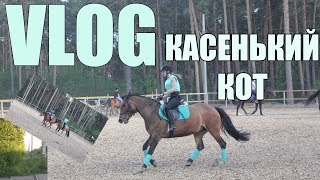 VLOG С КОНЮШНИ | КАСЕНЬКИЙ КОТ [должно грузить у всех]