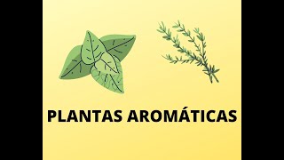 VOCABULARIO DE LAS PLANTAS AROMÁTICAS