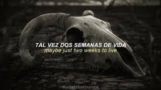 my chemical romance — dead! // sub. español/lyrics