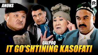 Qalpoq - It go'shtining kasofati (anons)