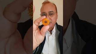 MouthSores Instant Cure by 3Stepsमुँह के छालों के 3 घरेलू उपाय MouthUlcer #shorts #shortvideo #viral