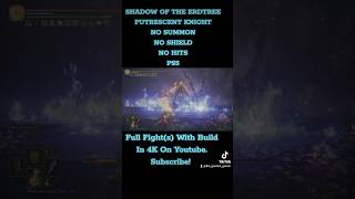 Putrid Knight #nodamage #nohit #nosummons #dualwielding #ps5 #eldenringdlc #shorts #fromsoftware