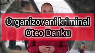 ORGANIZOVANI KRIMINAL OTEO DANKU ILIĆ ⁉️