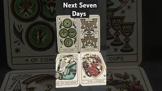 Next Seven Days // #tarot // #weeklytarot // Green Gaia Tarot Elements of Earth