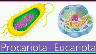 Célula, Funciones Vitales, clasificación y descripción de su estructura básica