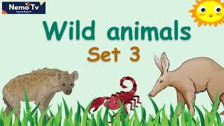 Learn Wild Animals Set 3 | Flashcards | Preschool, ESL