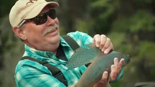 Fly Fishing for Trophy Arctic Grayling