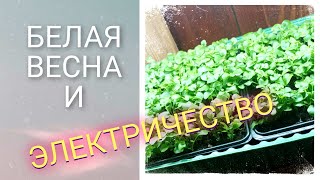 Белая весна и электричество