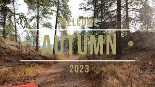 Autumn Drive 2023