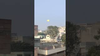 katti patang #youtubeshorts  #kite  #patang