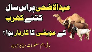 Eid Ul Adha 2023 | Qurbani Ka Kitna Karobar Howa | Urdu Tahzeeb