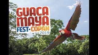 Guacamaya Fest 19