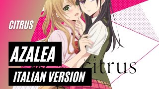 【Citrus】azalea ~Italian Version~ TV-SIZE