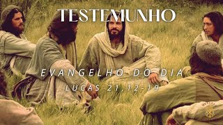 EVANGELHO DO DIA 27/11/24 - LUCAS 21,12-19 - TESTEMUNHO