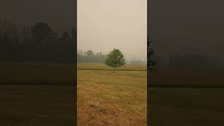 Day 2 of the smoke from the Wildfires in Canada