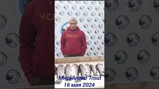 16 мая 2024 Мисайлово Trout. Уловы наших рыбаков