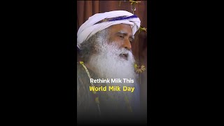 World Milk Day