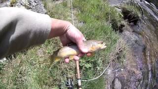 Pêche au toc en Ardèche