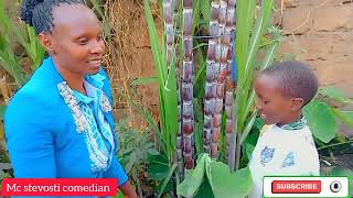 HOW PARENTS ARE FORCED TO BE CREATIVE BY CBC CURRICULUM / FARMING INSIDE A PLOT IN NAIROBI.