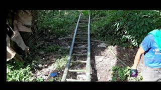 How to make bamboo ladder