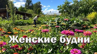 Женские будни//Как изменился новый участок//большой урожай//заготовки на зиму