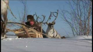 My Reindeer - trailer