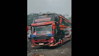 Story wa||Cinematic bus bagja trans mbois