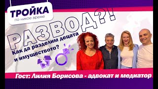 Как да разделим децата и имуществото? Е18