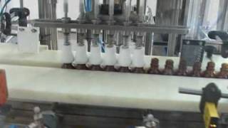 dozare capuire si etichetare pentru volume mici(Filler capper labeler for small volumes)