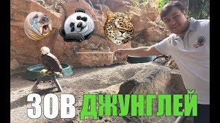 Джунгли парк Тенерифе | Лучший контактный зоопарк