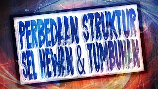 Perbedaan Struktur Sel Hewan dan Tumbuhan