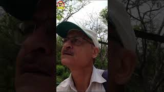 Goral, Barking Deer, Nilgai, Bear, Jungle Cat, Peacock, Spotted Deer & MUCH MORE in JAMBU ZOO, JAMMU