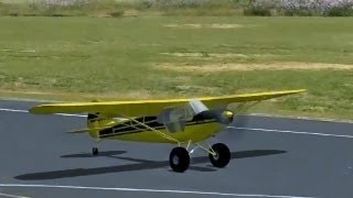 Super Cub PA-18 (Tundra) RC Airplane (Realflight RC Simulator)