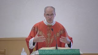 Self Control? | Homily by Fr. Steven - Saturday, July 06, 2024