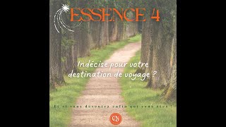 Quelles vacances idéales qui respectent votre vraie nature ☘: l’énergie du Bois Yin ?