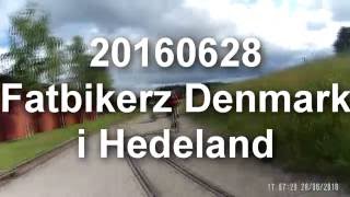 20160628 Fatbikerz Denmark i Hedeland_1