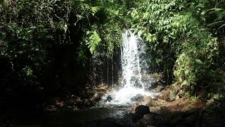 TRILHA DA AGUINHA & GALOPEIRA (MG)11/09/2016