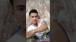 មើល Background គេផង