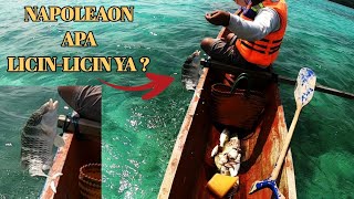 MANCING PINGGIRAN dapat Ikan NAPOLEON | Fishing Adventure Indonesia