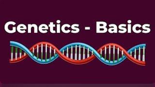 Developmental Psychology | BASICS OF GENETICS - Introduction to Genetics - DNA, RNA, Genes