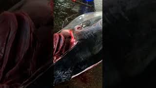 Masterful Technique 496kg Bluefin Tuna Sliced in Under 1 Minutes