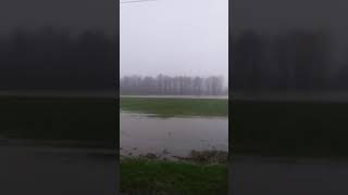 Nooksack flooding near Massey