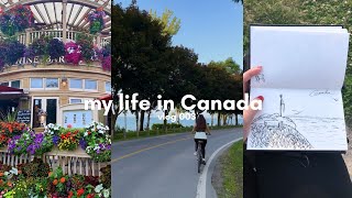 vlog 003- my life in Canada (mucho gym, haul, rutinas)