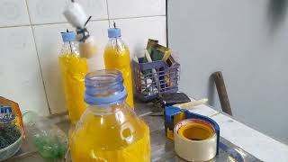 Cara Membuat Yellow Trap Perangkap lalat Buah dengan Botol Bekas Minuman