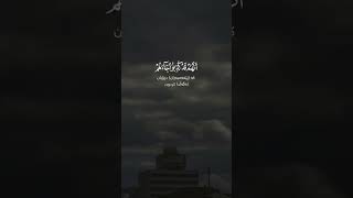 سورة يوسف القارئ عبدالرحمن مسعد