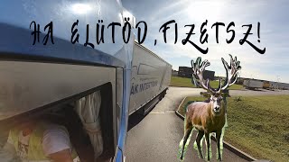 Ha elütöd,fizetsz! Kamionos vlog.