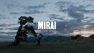 Mirai in the Wild: The Rockies